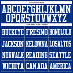 Team name font options for Custom Royal White-Light Blue Mesh Football Jersey
